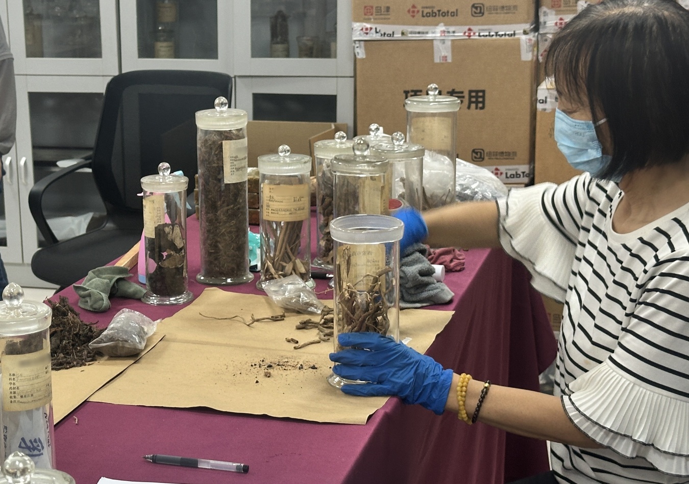 老標(biāo)本新面貌 修復(fù)“整容”有一套！